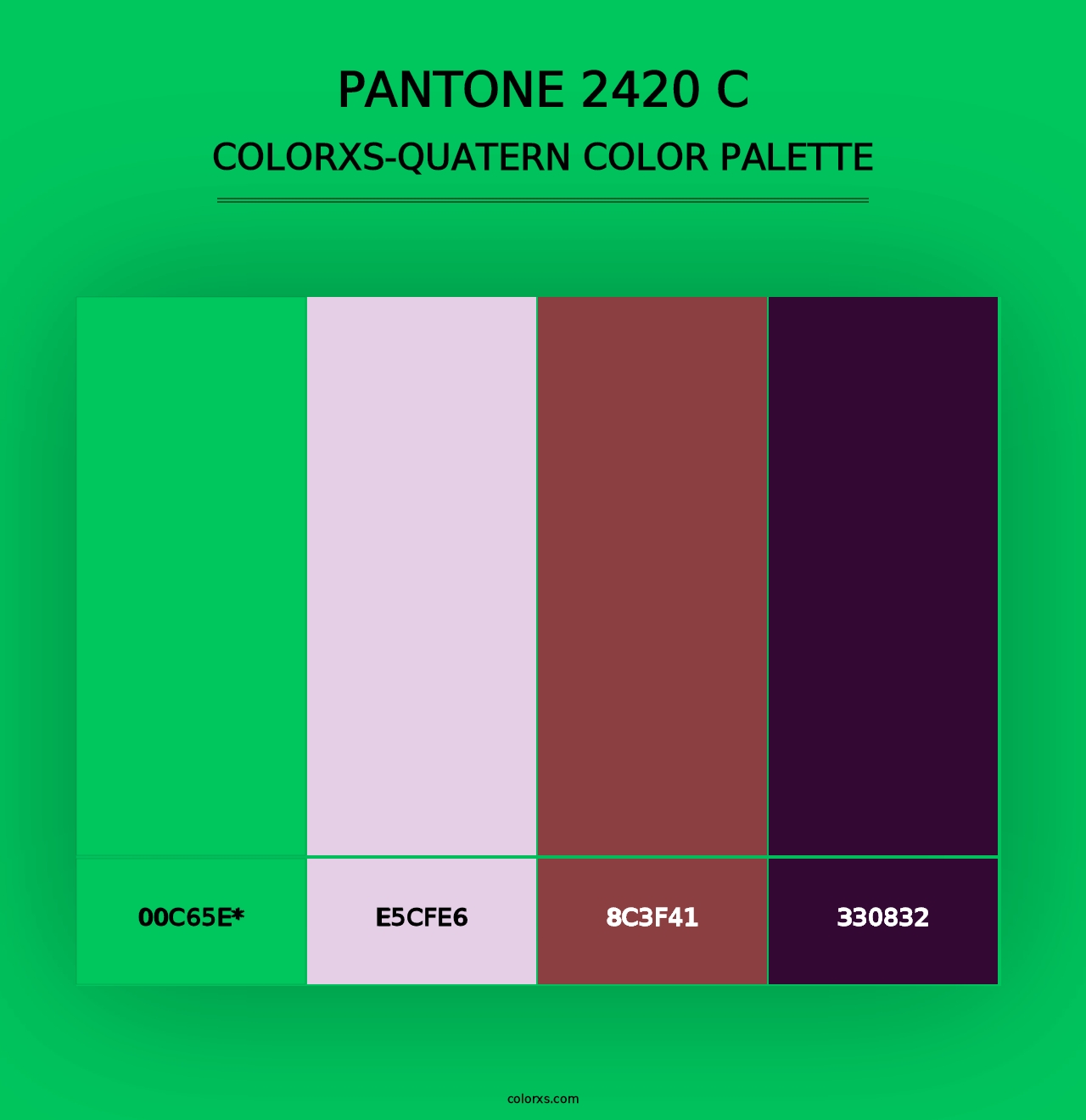 PANTONE 2420 C - Colorxs Quad Palette