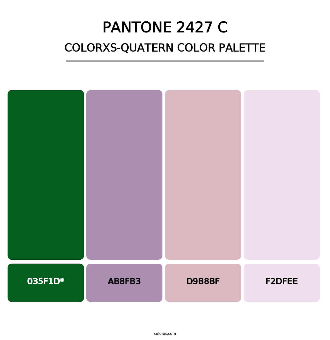 PANTONE 2427 C - Colorxs Quad Palette