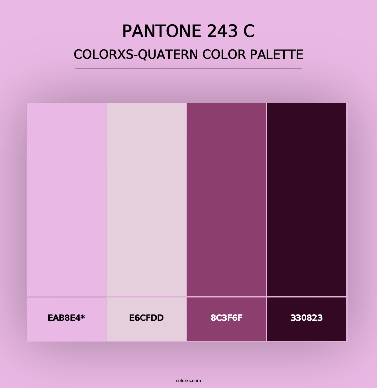 PANTONE 243 C - Colorxs Quad Palette