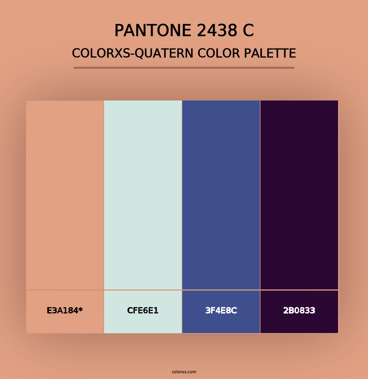 PANTONE 2438 C - Colorxs Quad Palette