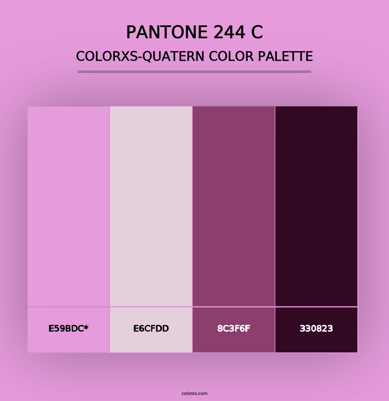 PANTONE 244 C - Colorxs Quad Palette