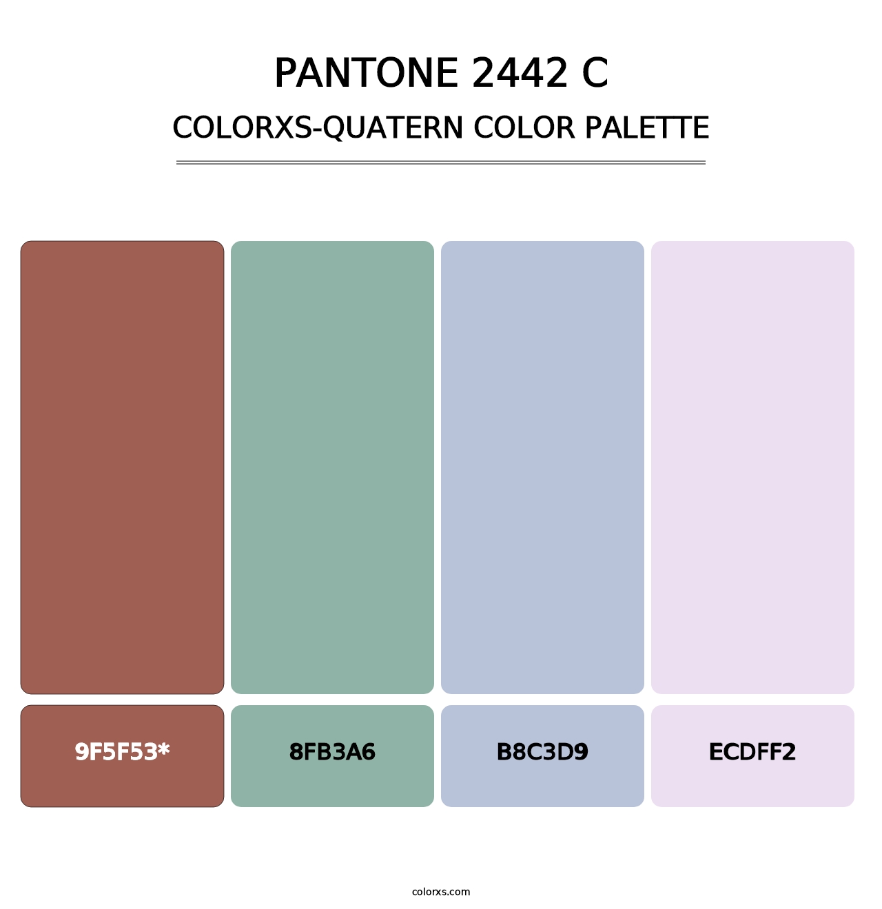 PANTONE 2442 C - Colorxs Quad Palette