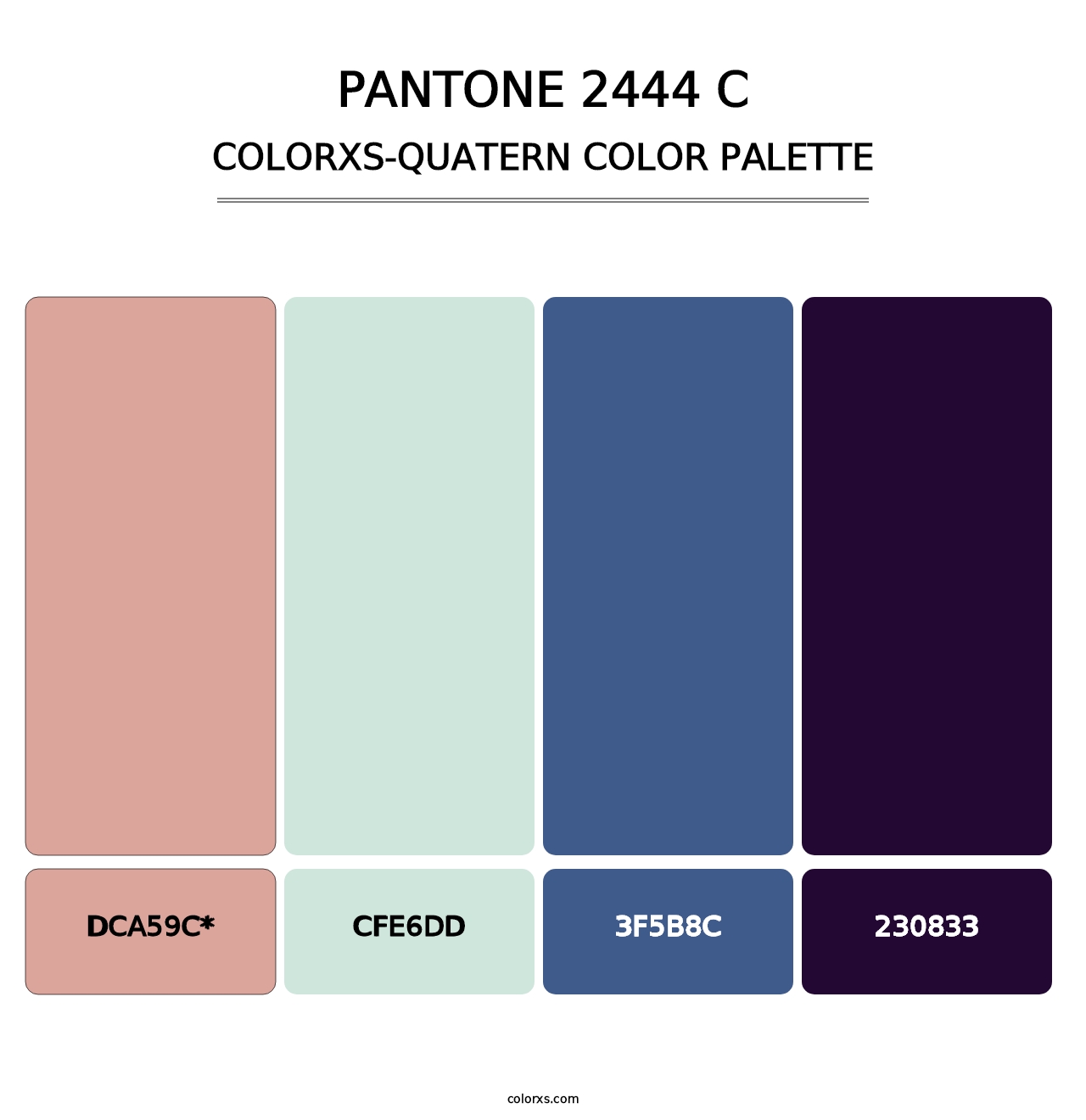 PANTONE 2444 C - Colorxs Quad Palette