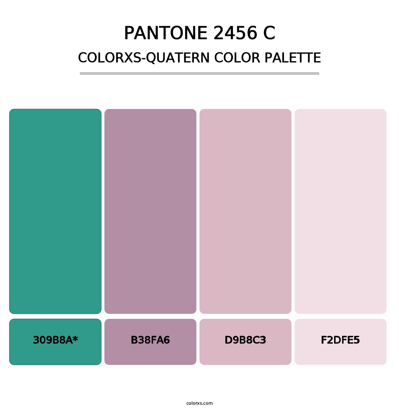 PANTONE 2456 C - Colorxs Quad Palette