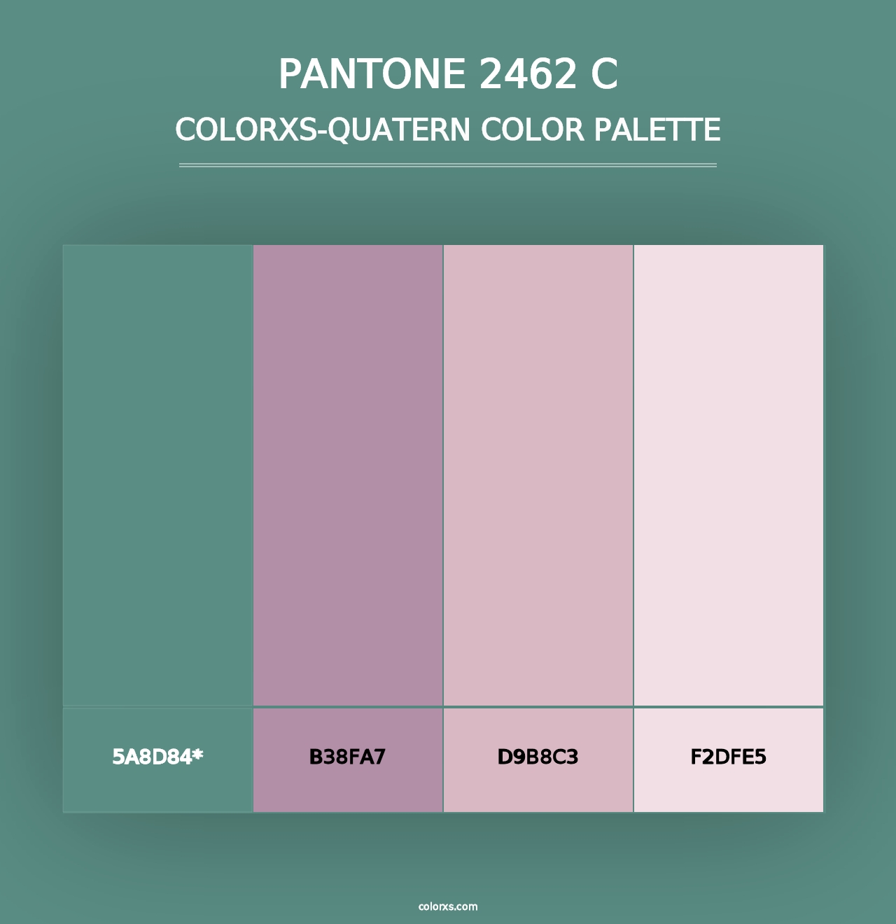 PANTONE 2462 C - Colorxs Quad Palette