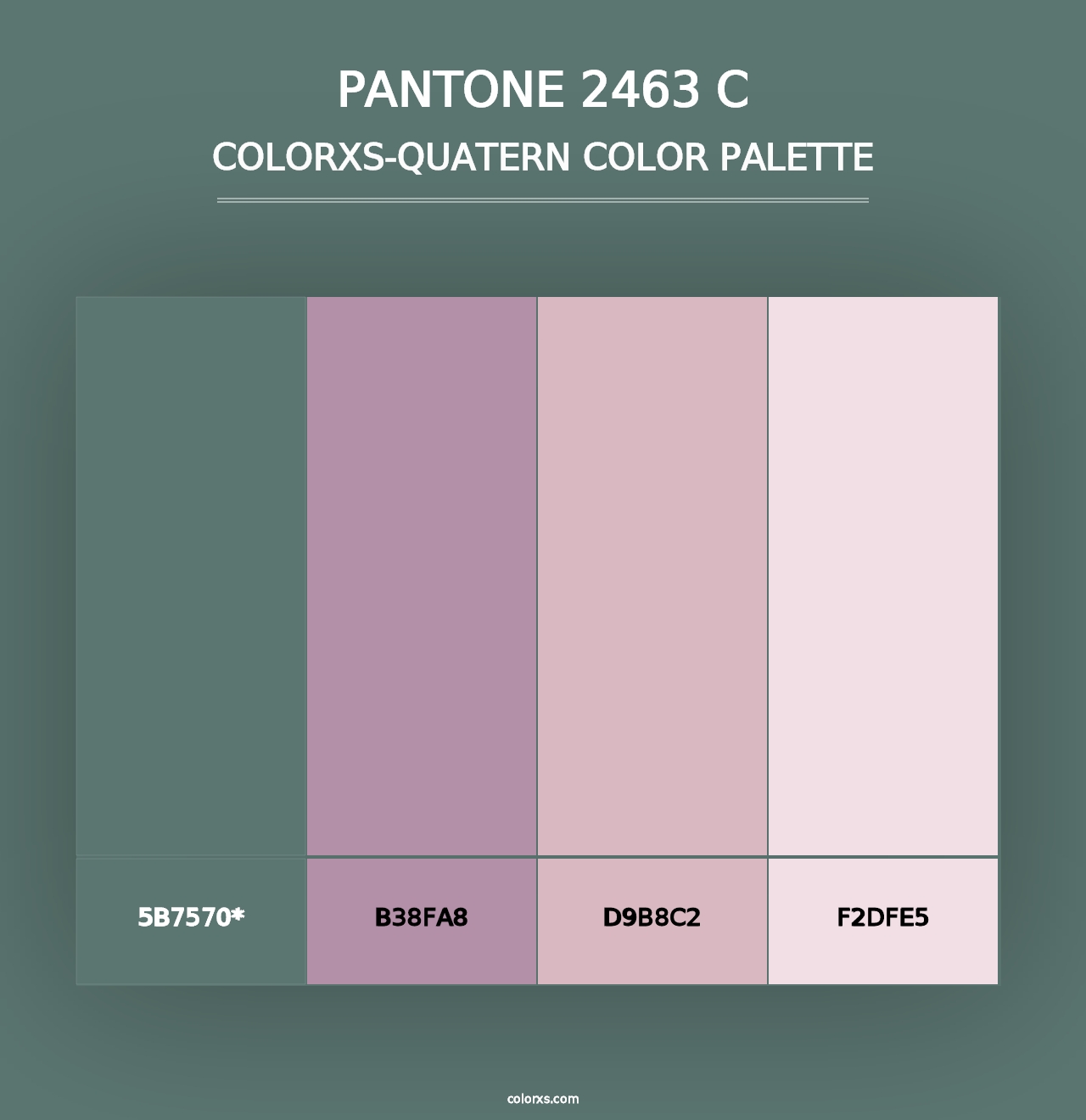 PANTONE 2463 C - Colorxs Quad Palette