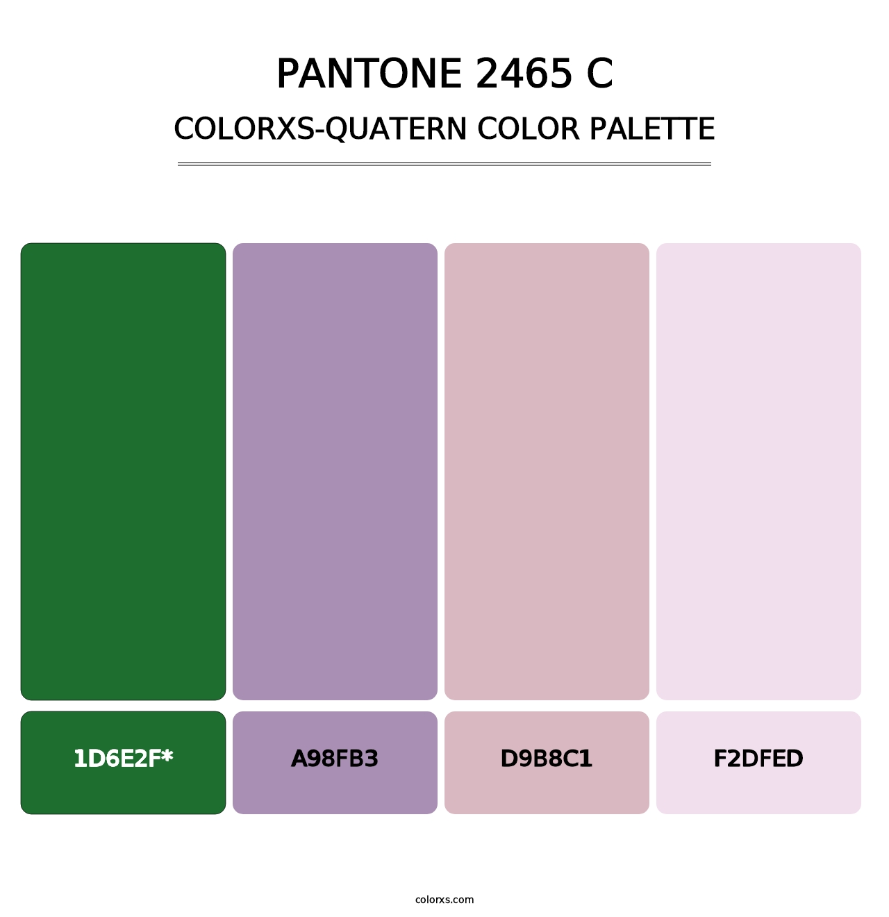 PANTONE 2465 C - Colorxs Quad Palette