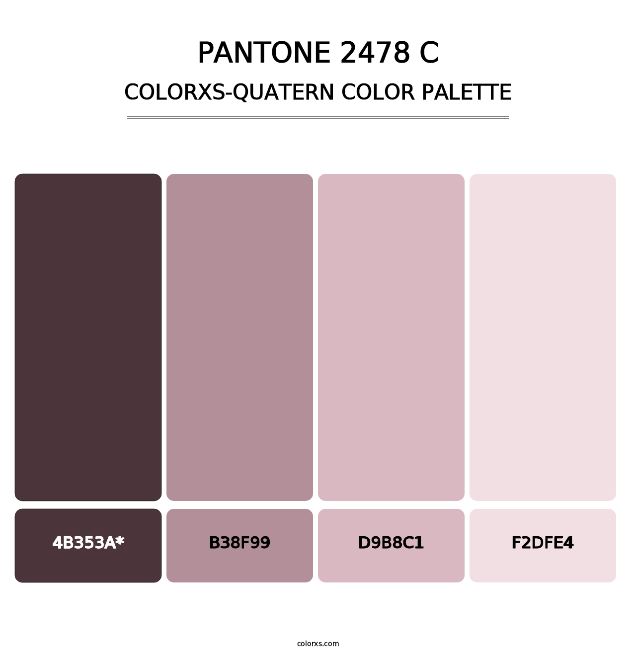 PANTONE 2478 C - Colorxs Quad Palette