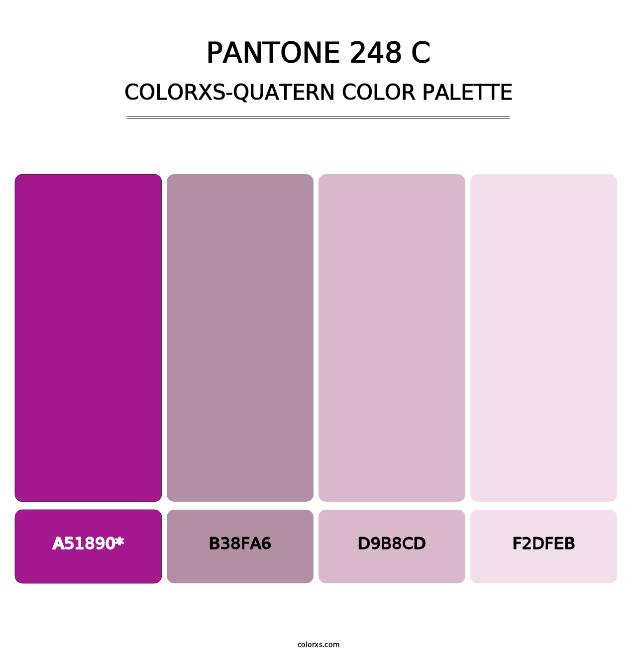 PANTONE 248 C - Colorxs Quad Palette