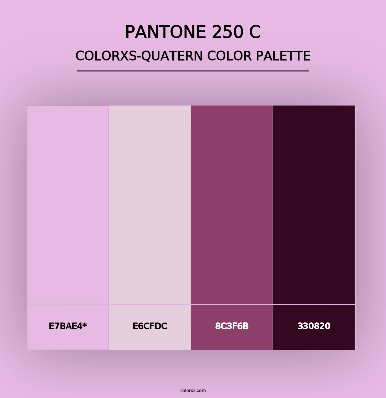 PANTONE 250 C - Colorxs Quad Palette