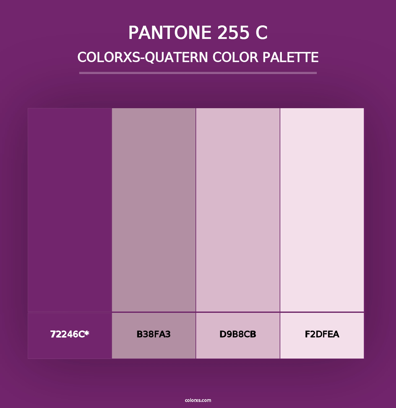 PANTONE 255 C - Colorxs Quad Palette