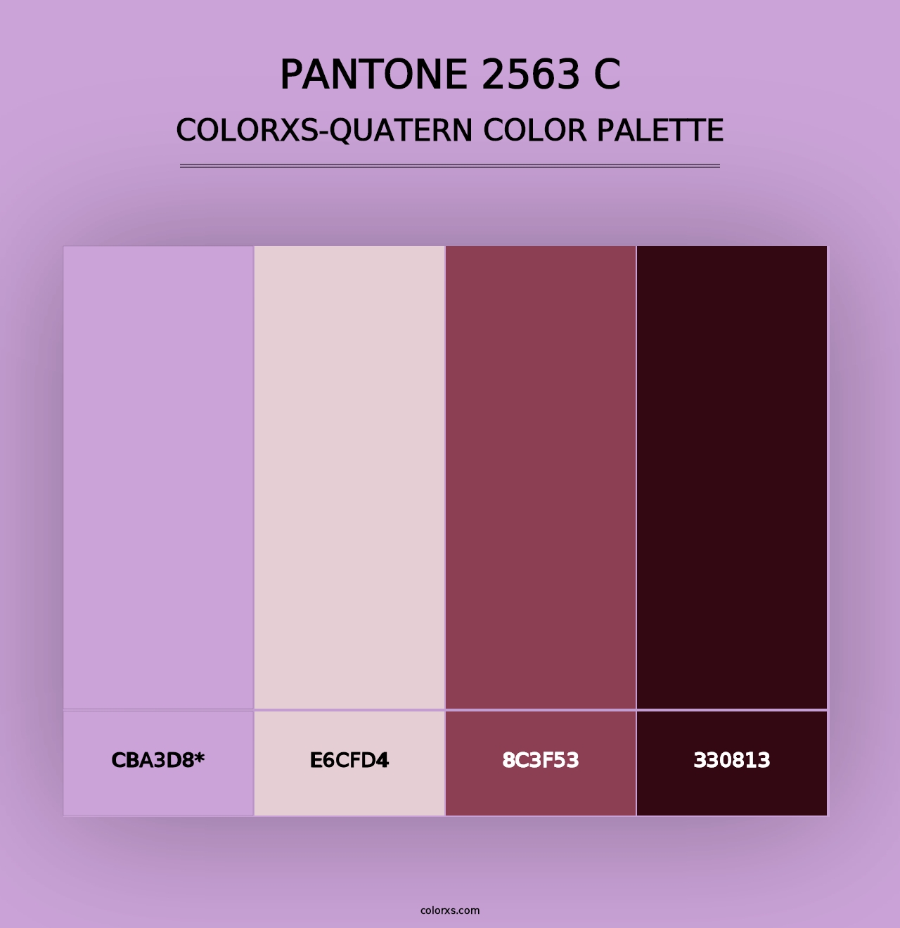 PANTONE 2563 C - Colorxs Quad Palette