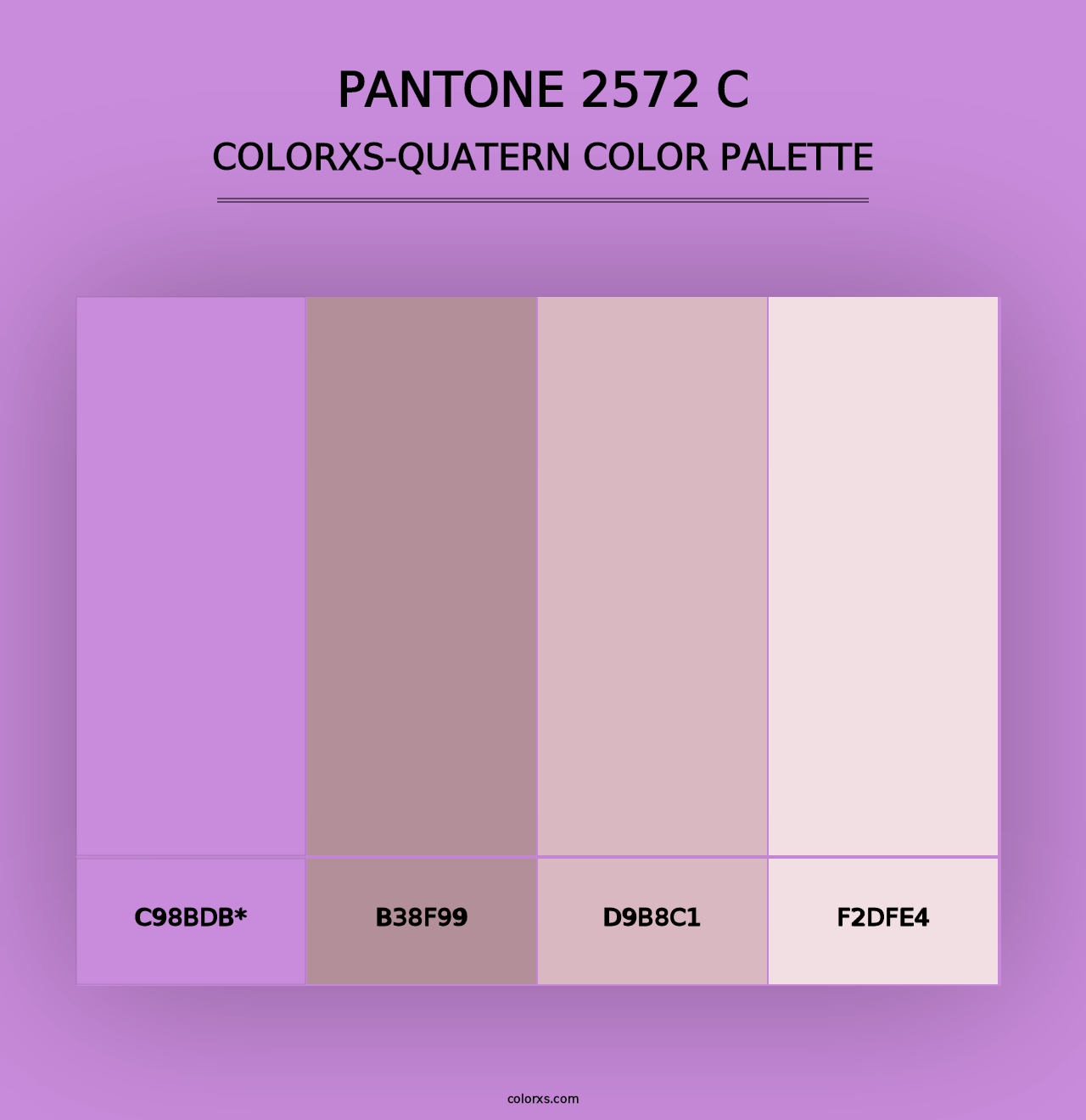 PANTONE 2572 C - Colorxs Quad Palette