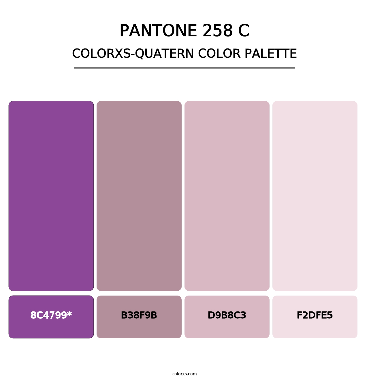 PANTONE 258 C - Colorxs Quad Palette