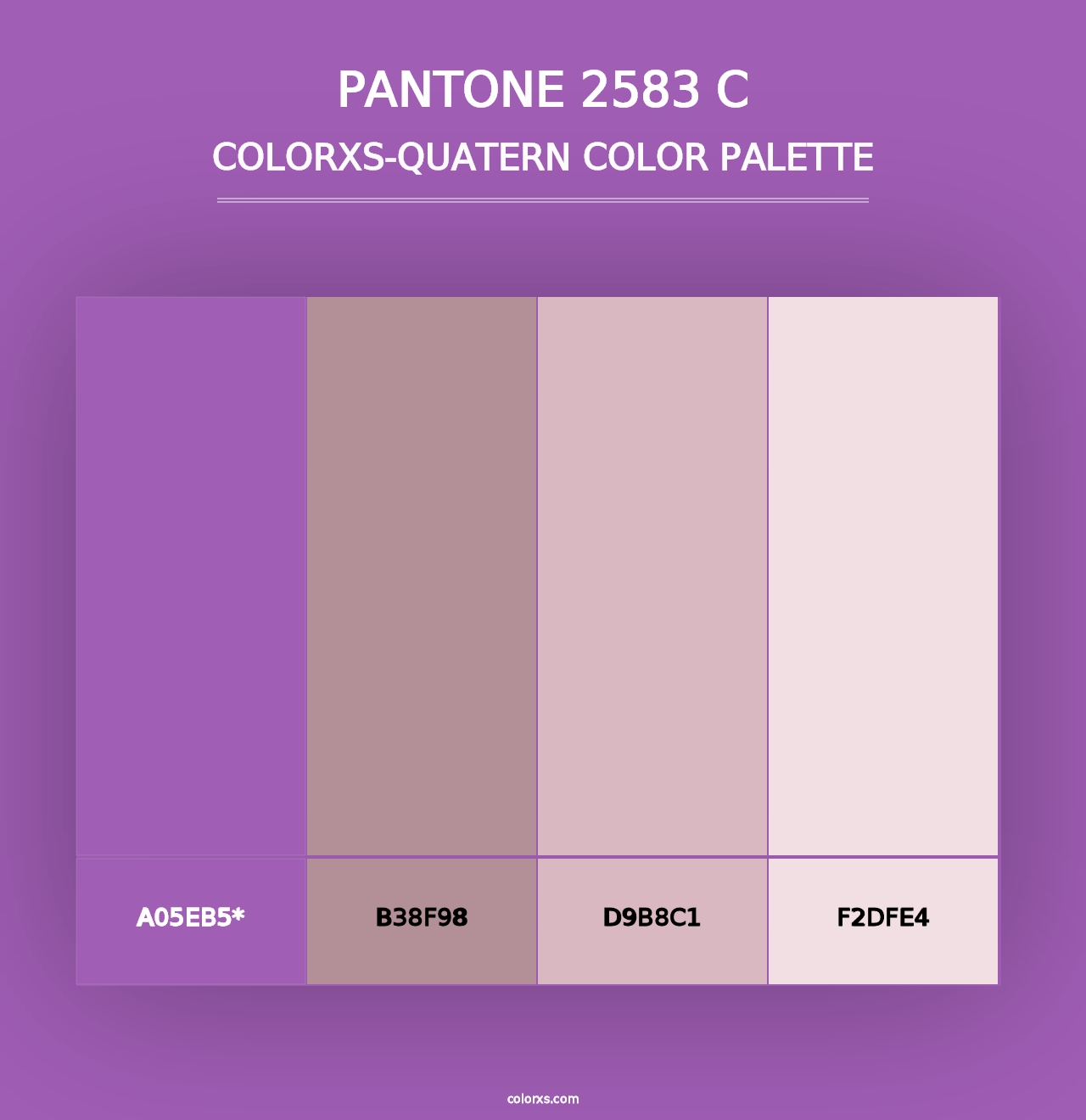 PANTONE 2583 C - Colorxs Quad Palette