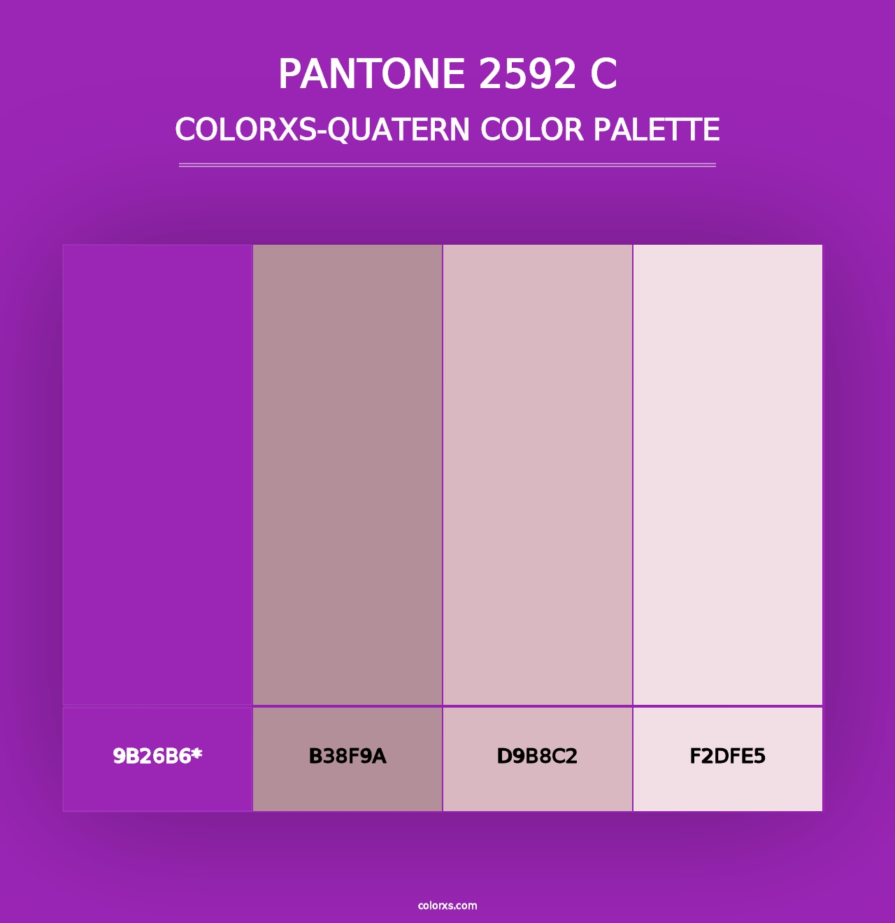 PANTONE 2592 C - Colorxs Quad Palette