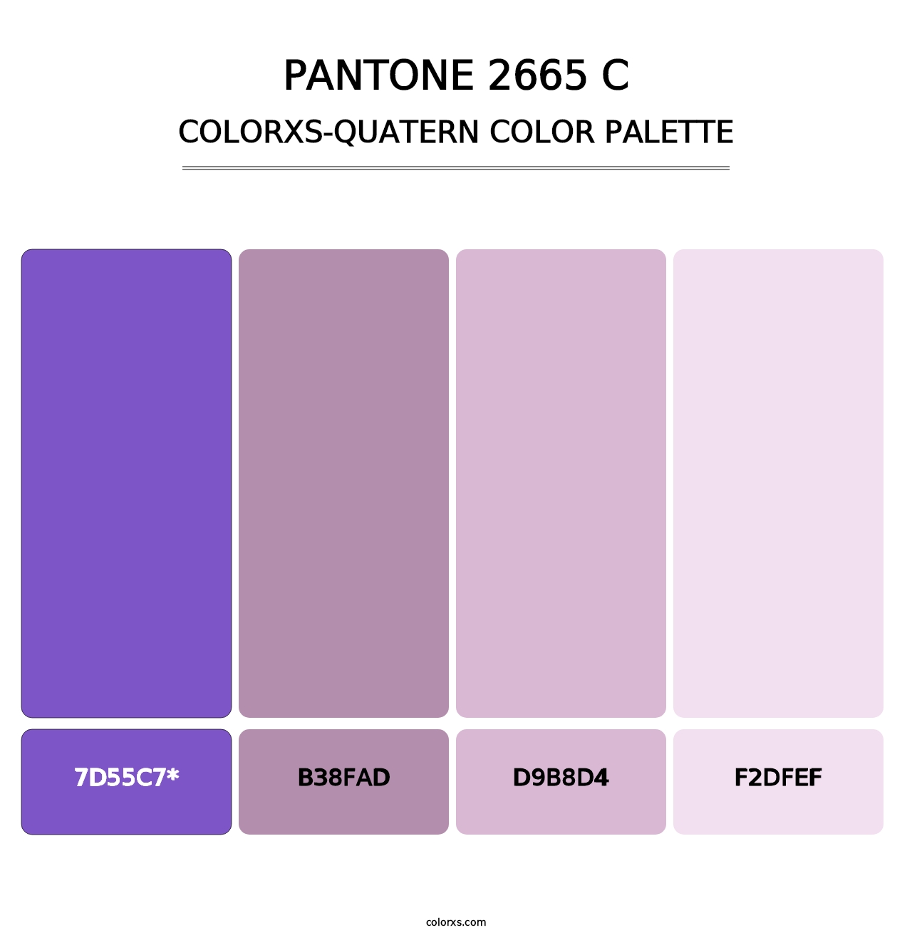 PANTONE 2665 C - Colorxs Quad Palette