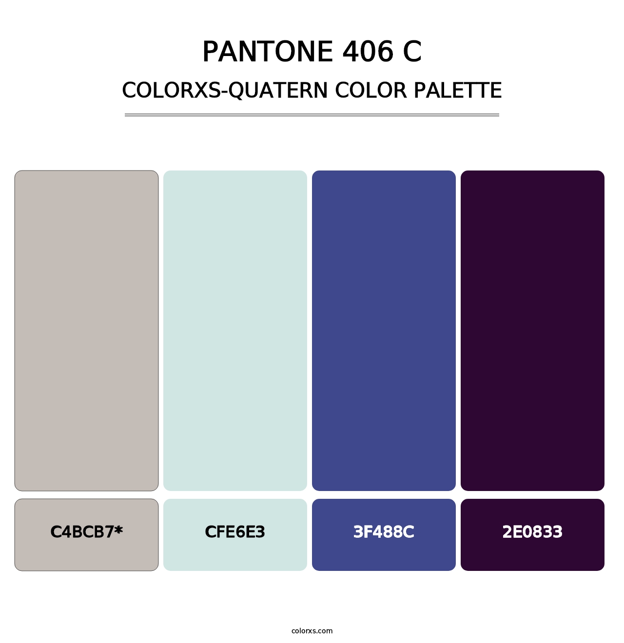 PANTONE 406 C - Colorxs Quad Palette