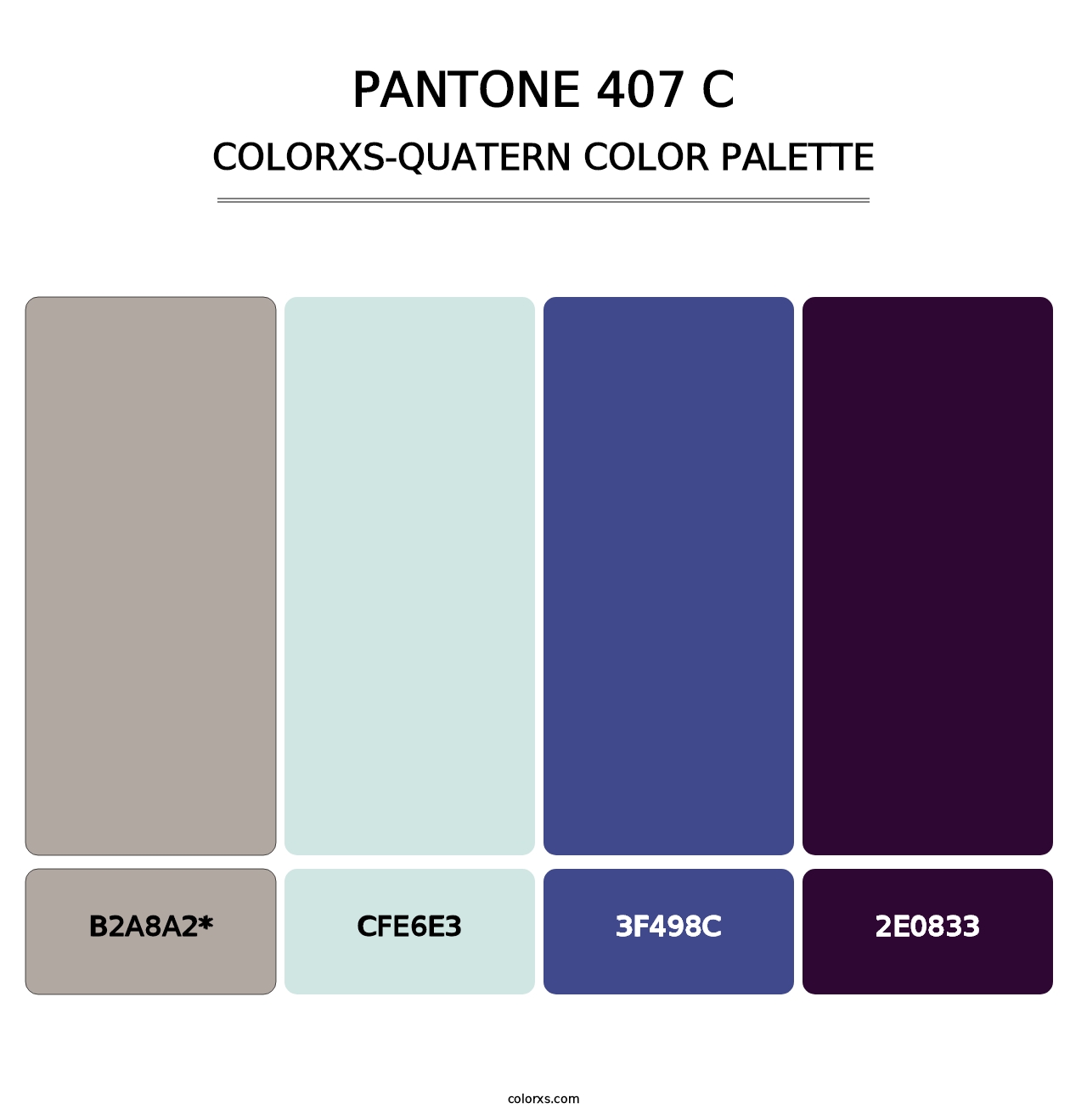 PANTONE 407 C - Colorxs Quad Palette