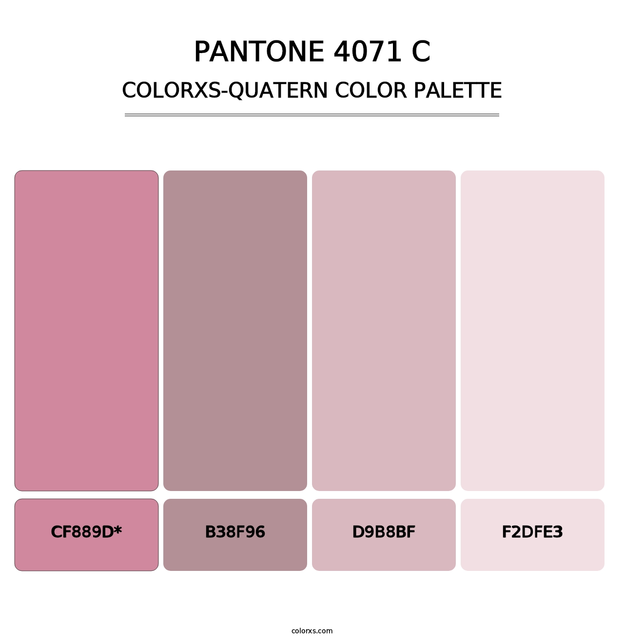 PANTONE 4071 C - Colorxs Quad Palette