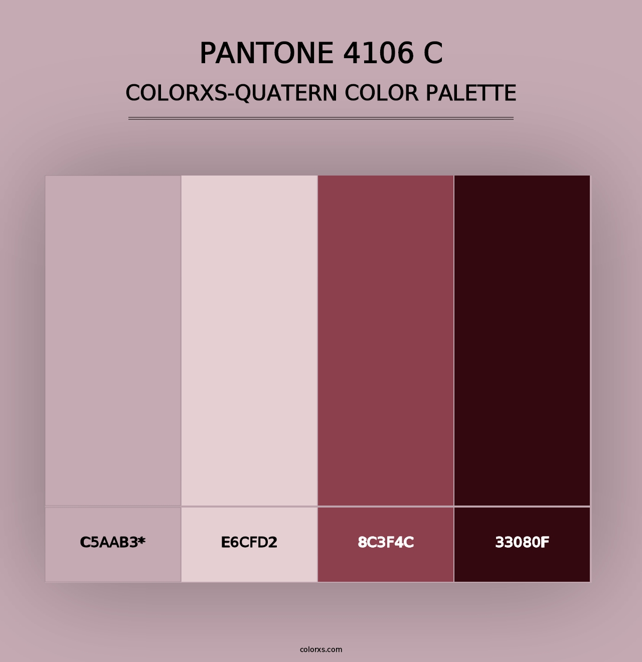 PANTONE 4106 C - Colorxs Quad Palette