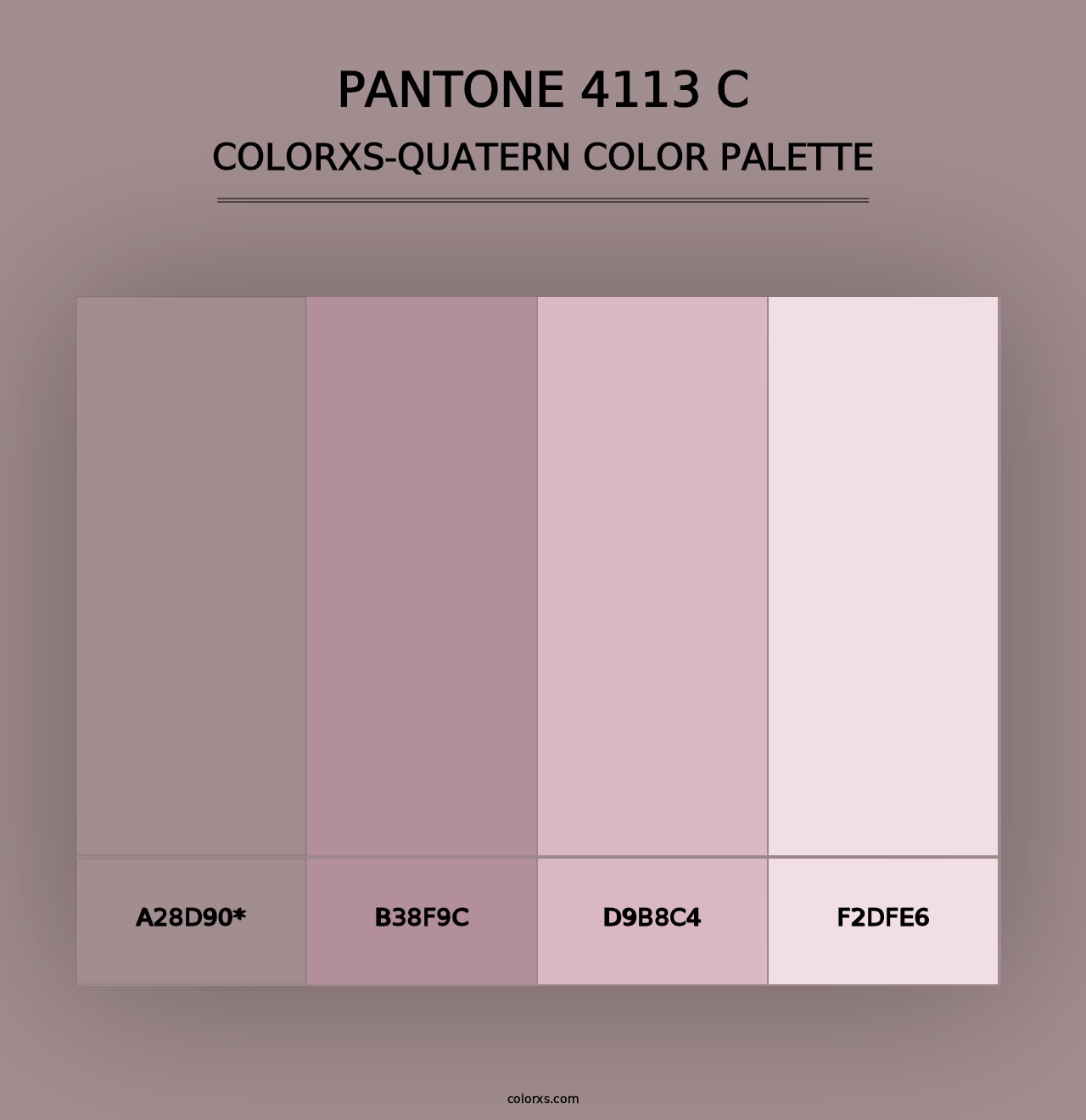 PANTONE 4113 C - Colorxs Quad Palette