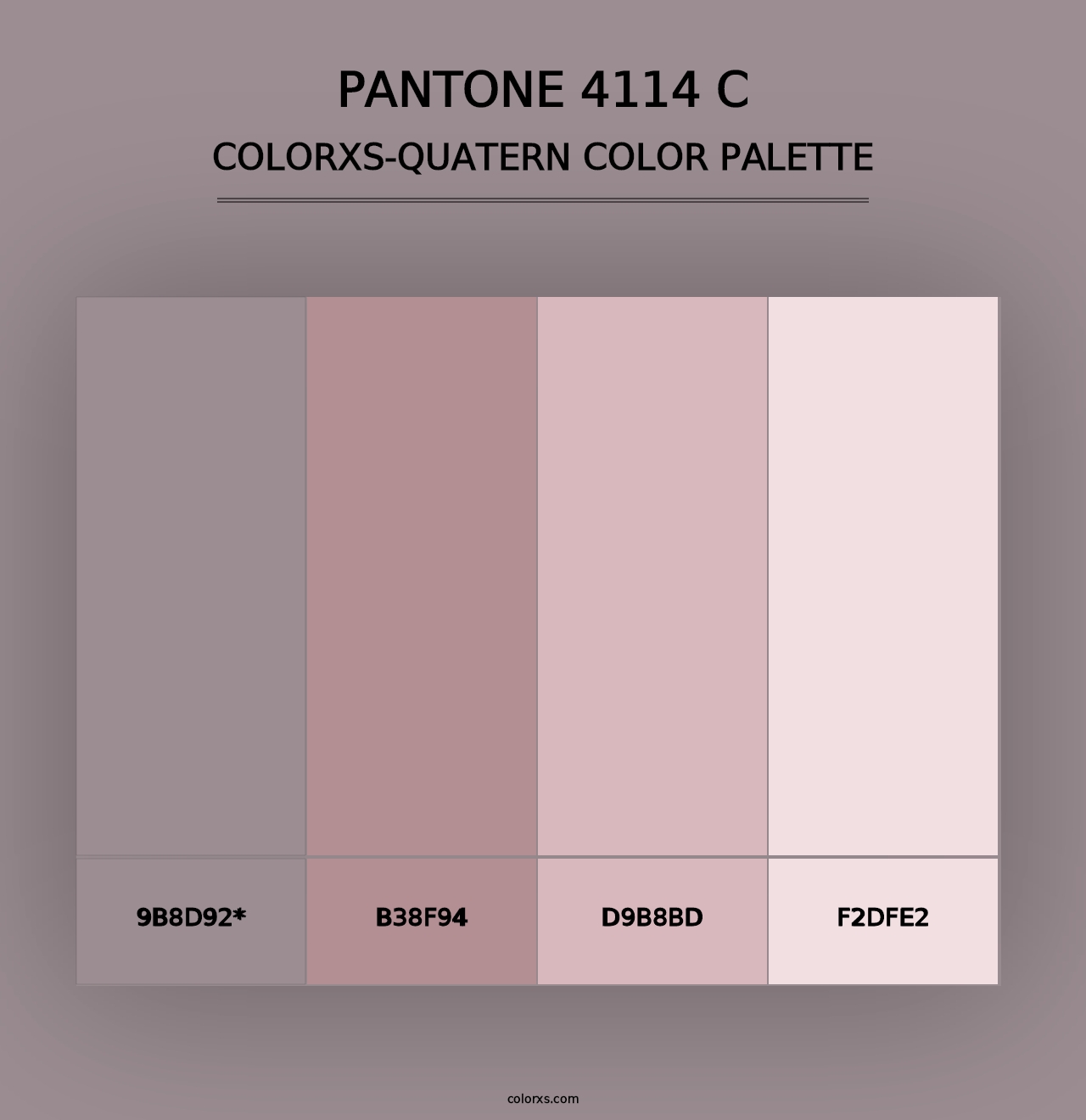 PANTONE 4114 C - Colorxs Quad Palette