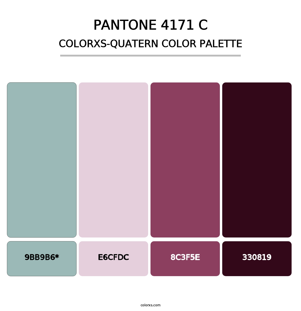 PANTONE 4171 C - Colorxs Quad Palette