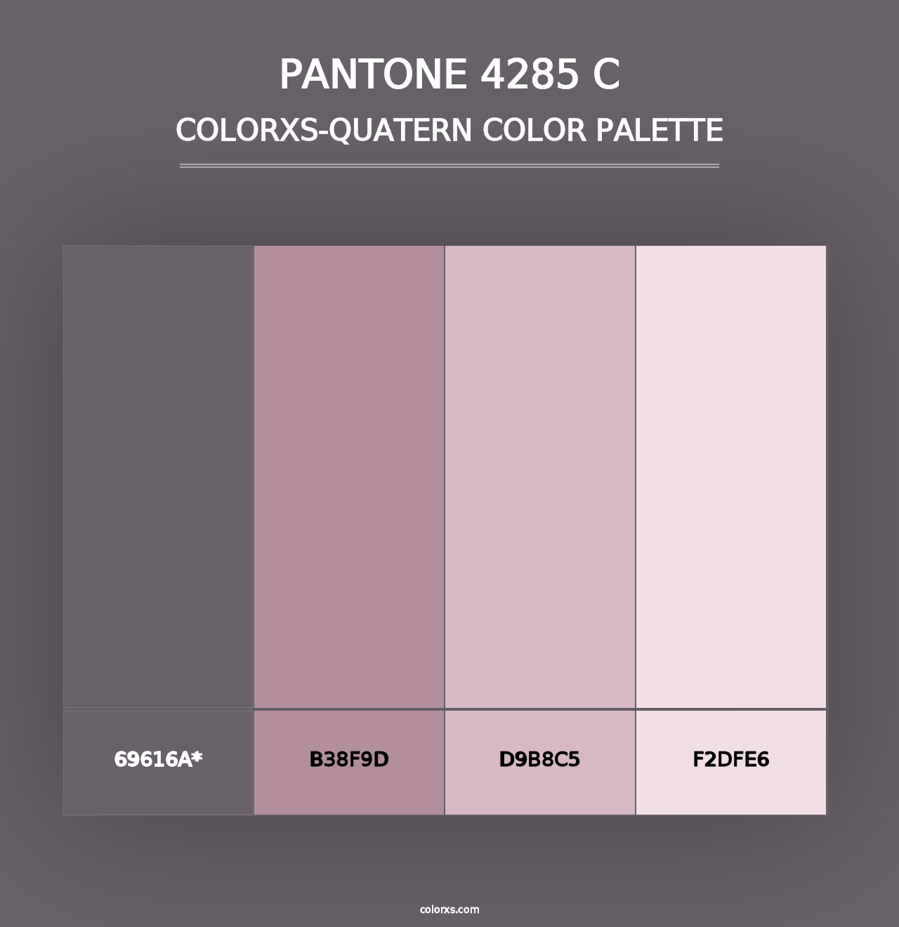 PANTONE 4285 C - Colorxs Quad Palette