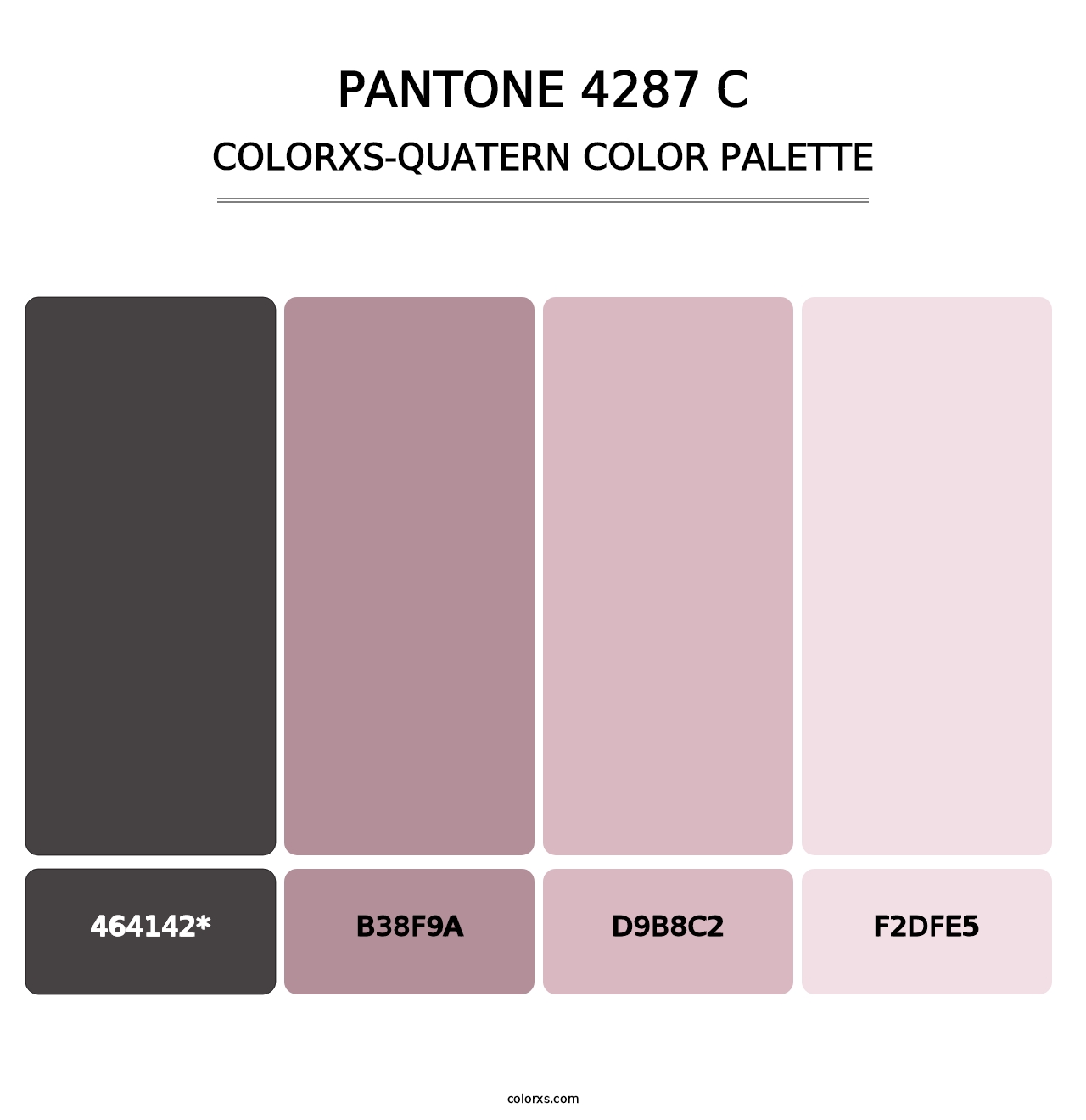 PANTONE 4287 C - Colorxs Quad Palette