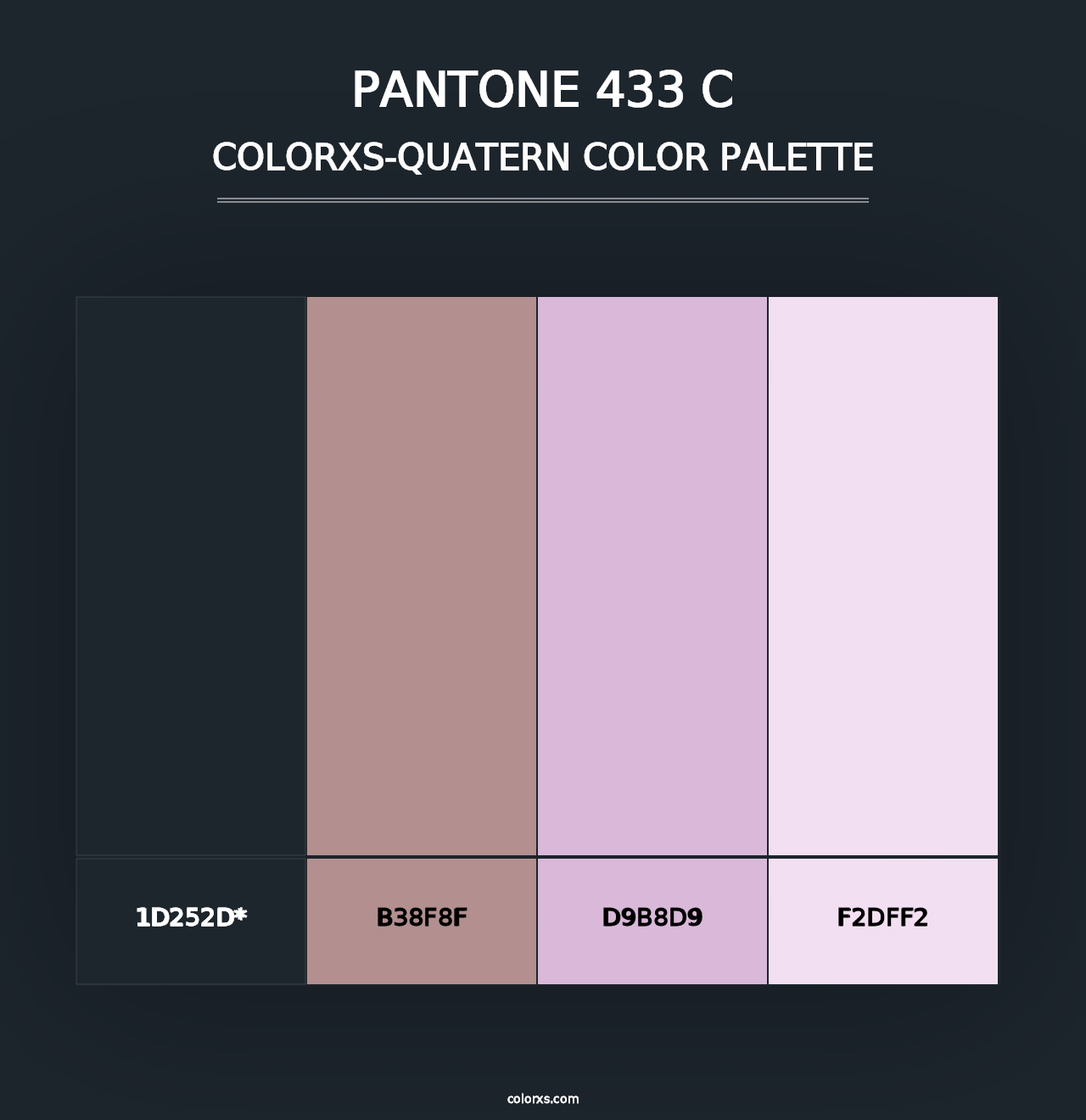 PANTONE 433 C - Colorxs Quad Palette