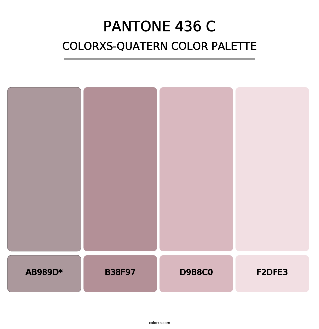 PANTONE 436 C - Colorxs Quad Palette