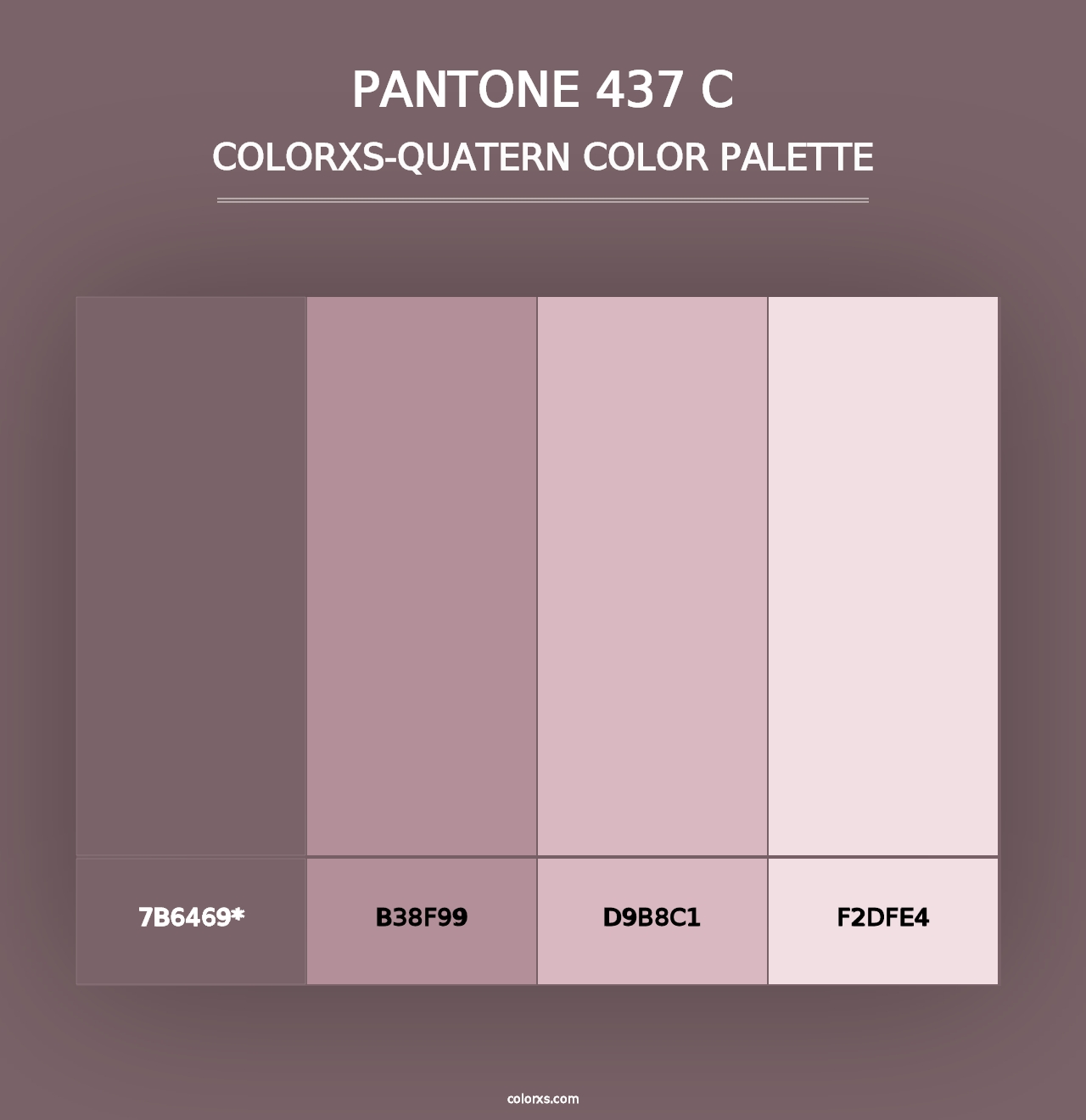 PANTONE 437 C - Colorxs Quad Palette