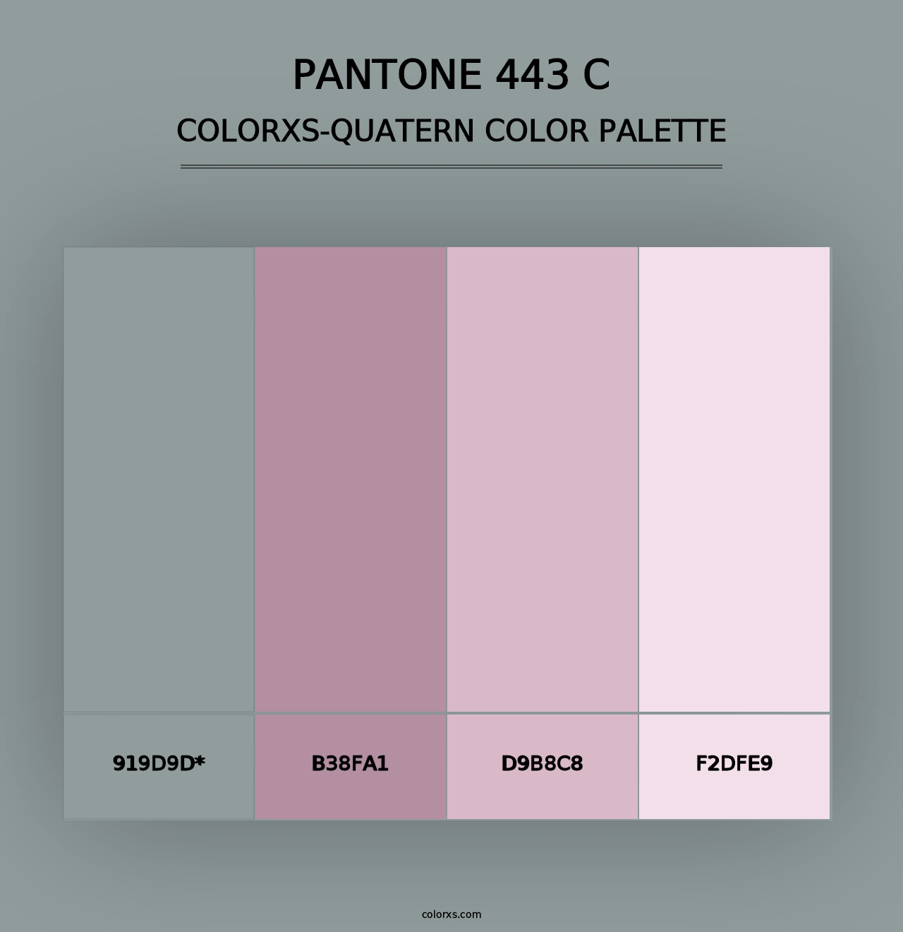 PANTONE 443 C - Colorxs Quad Palette