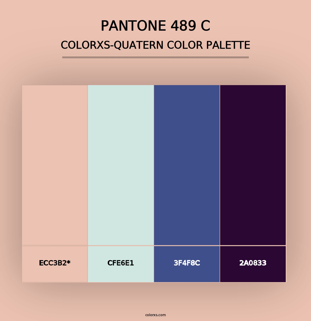 PANTONE 489 C - Colorxs Quad Palette