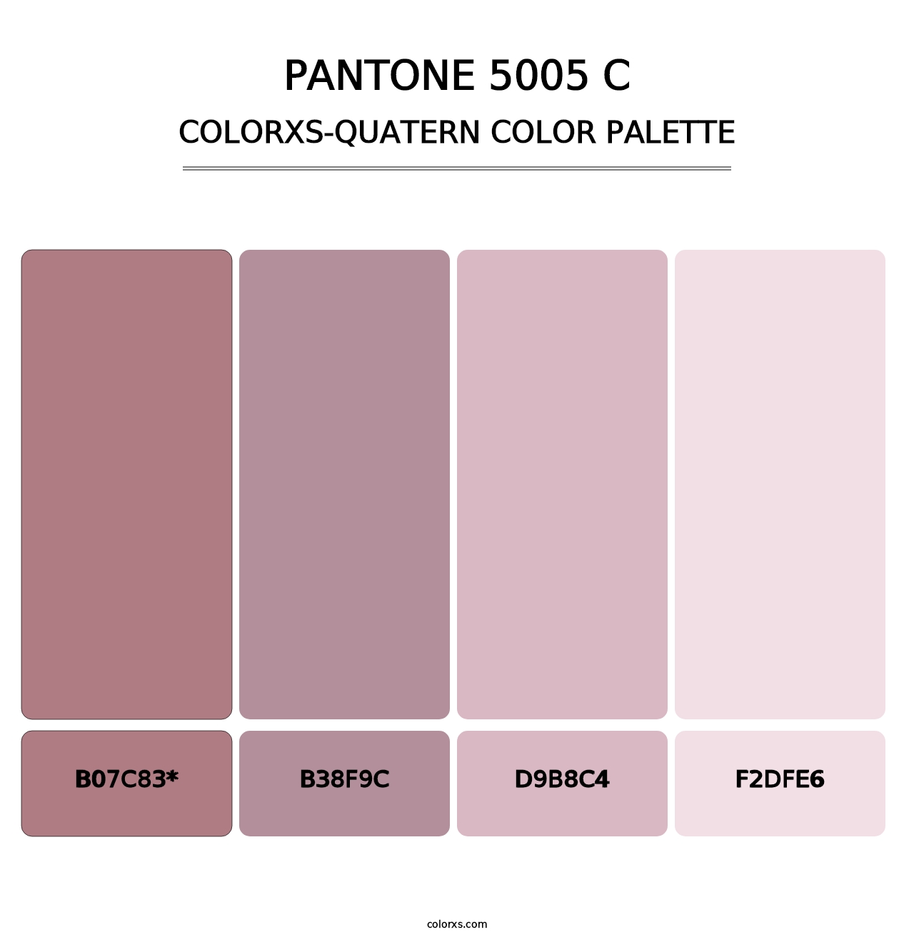 PANTONE 5005 C - Colorxs Quad Palette