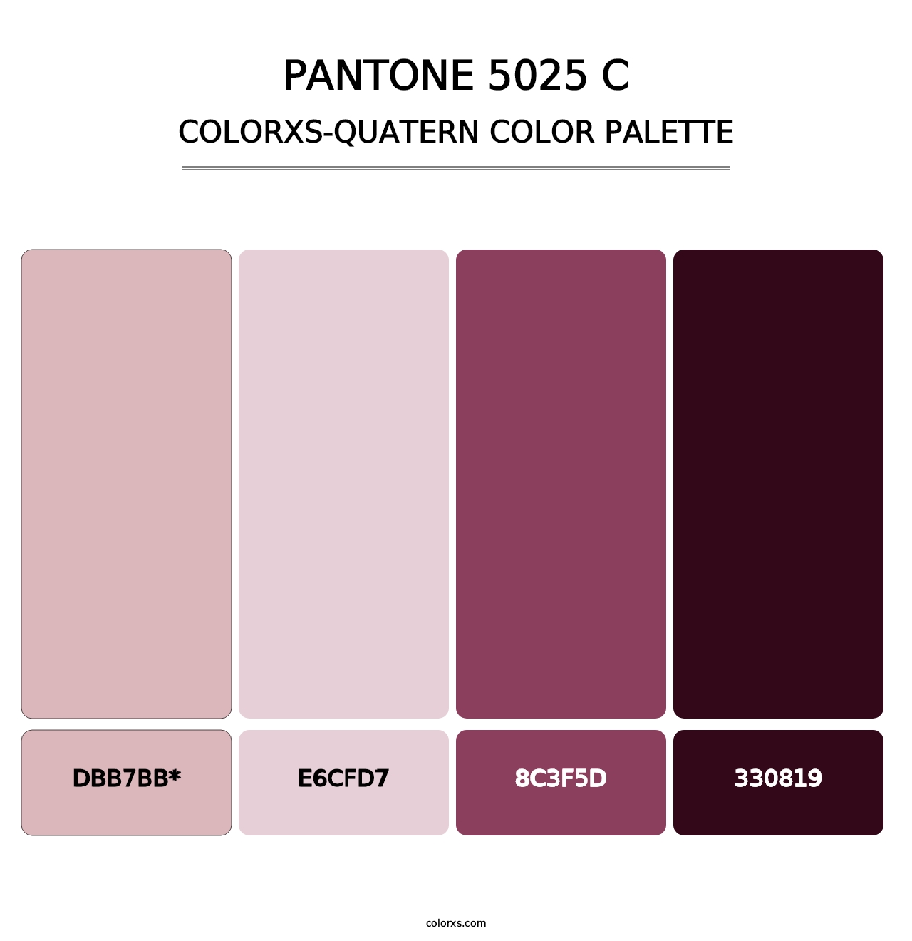 PANTONE 5025 C - Colorxs Quad Palette