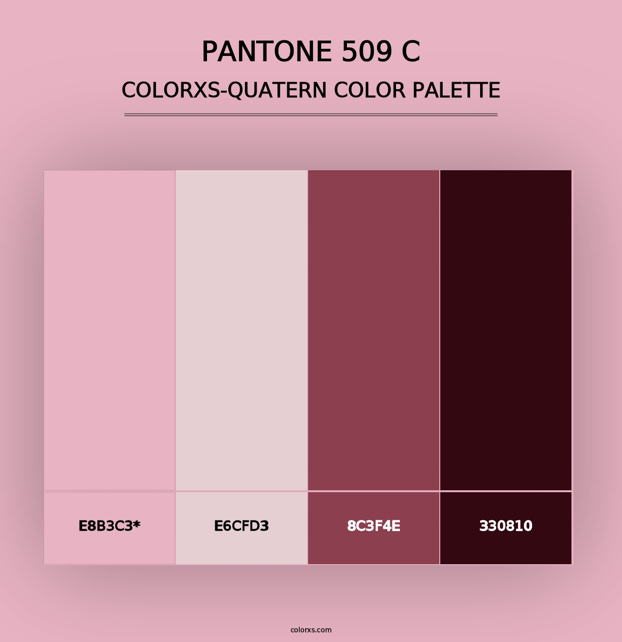 PANTONE 509 C - Colorxs Quad Palette