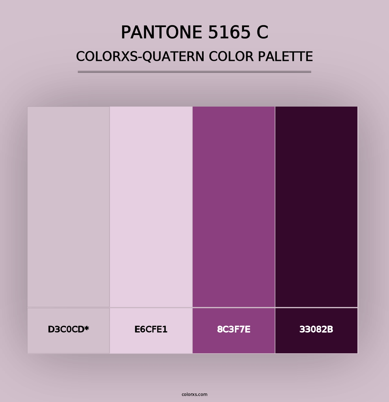 PANTONE 5165 C - Colorxs Quad Palette