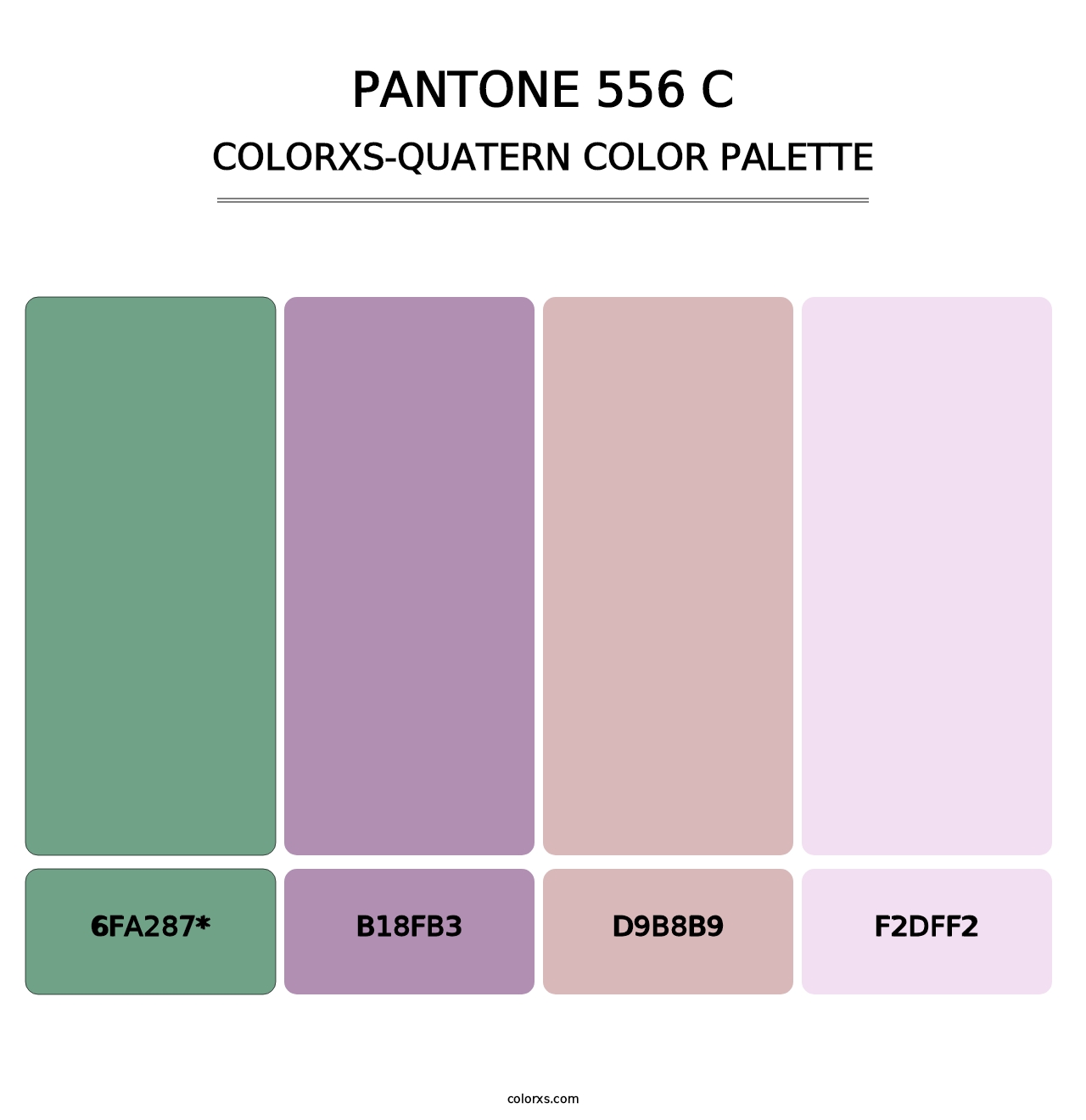 PANTONE 556 C - Colorxs Quad Palette