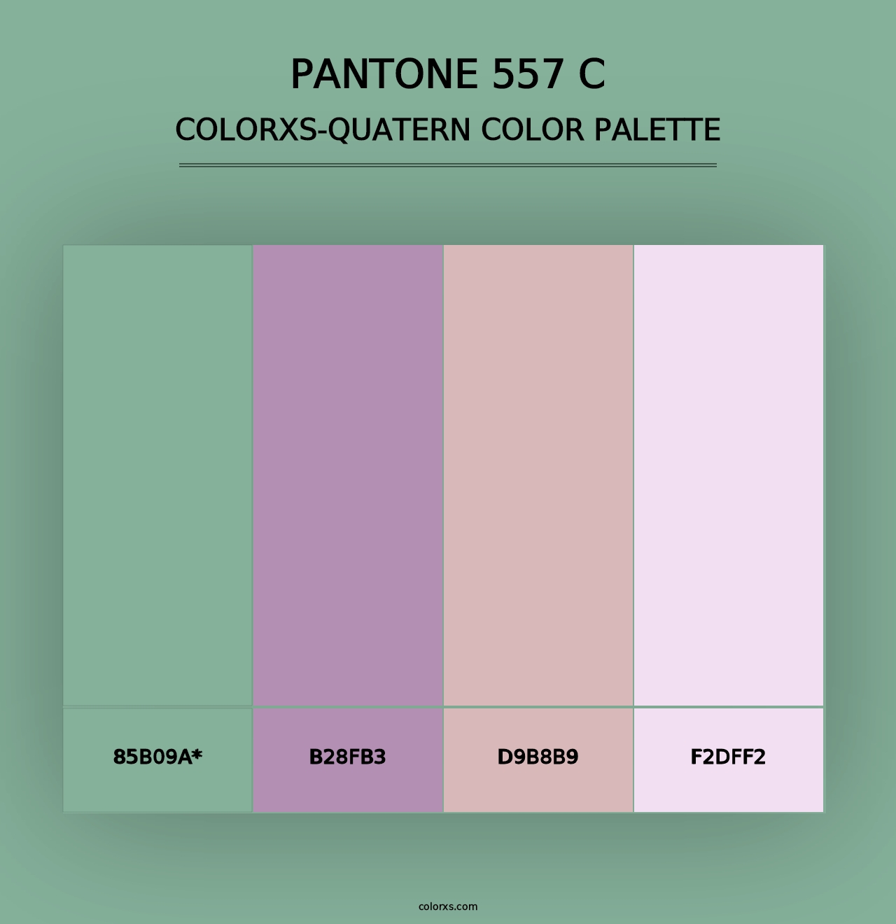 PANTONE 557 C - Colorxs Quad Palette