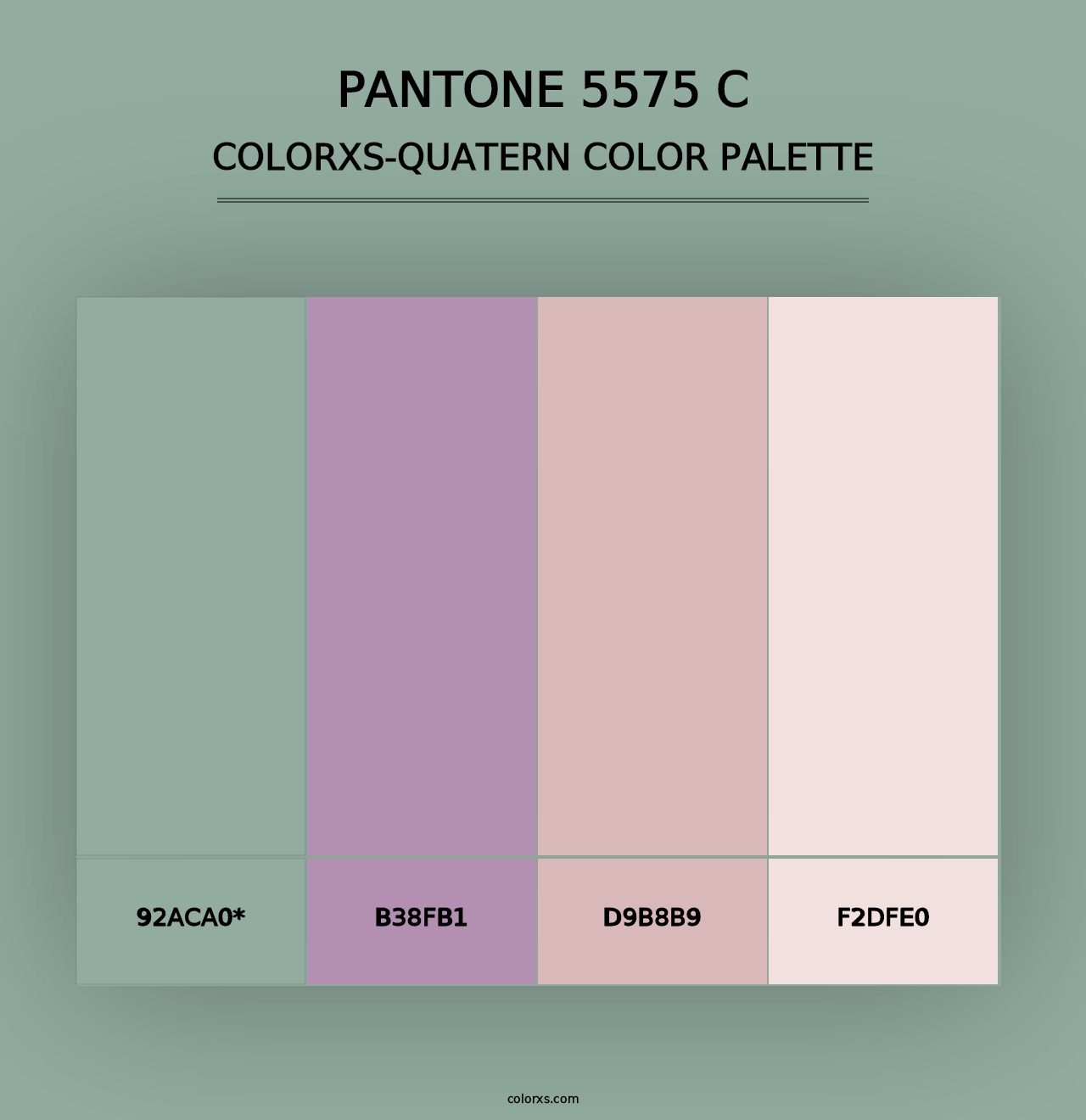 PANTONE 5575 C - Colorxs Quad Palette