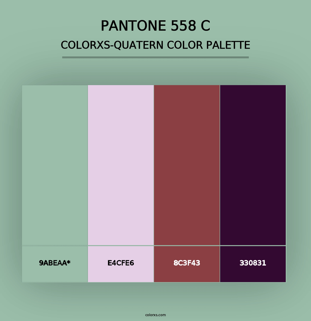 PANTONE 558 C - Colorxs Quad Palette