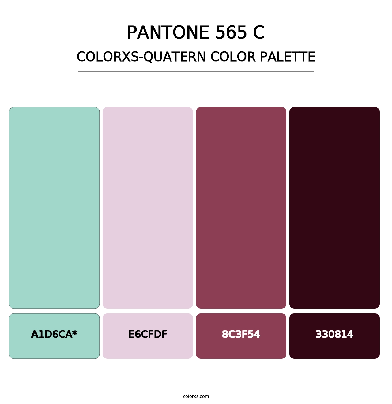 PANTONE 565 C - Colorxs Quad Palette