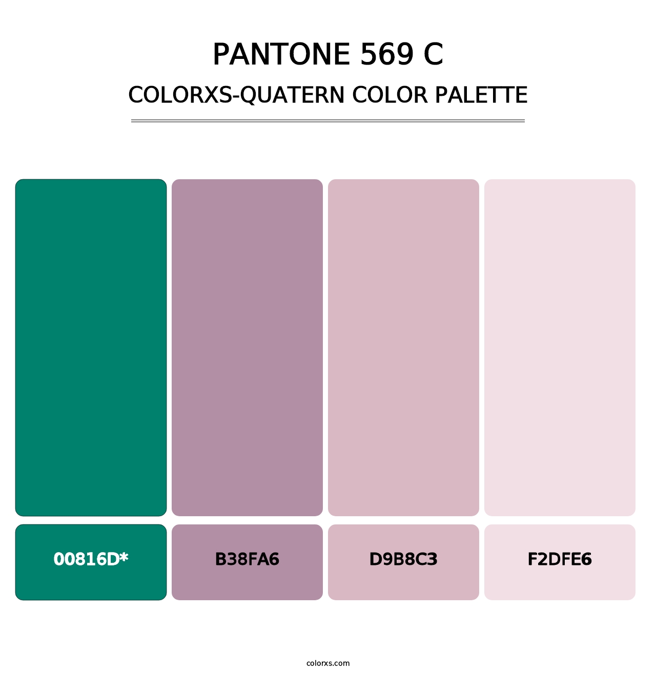 PANTONE 569 C - Colorxs Quad Palette