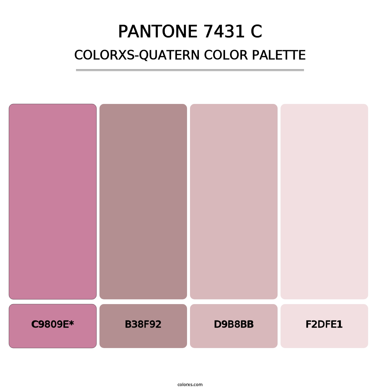 PANTONE 7431 C - Colorxs Quad Palette