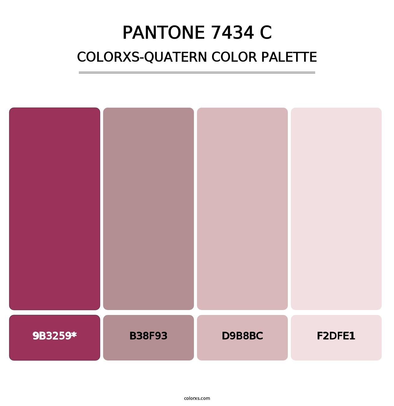 PANTONE 7434 C - Colorxs Quad Palette