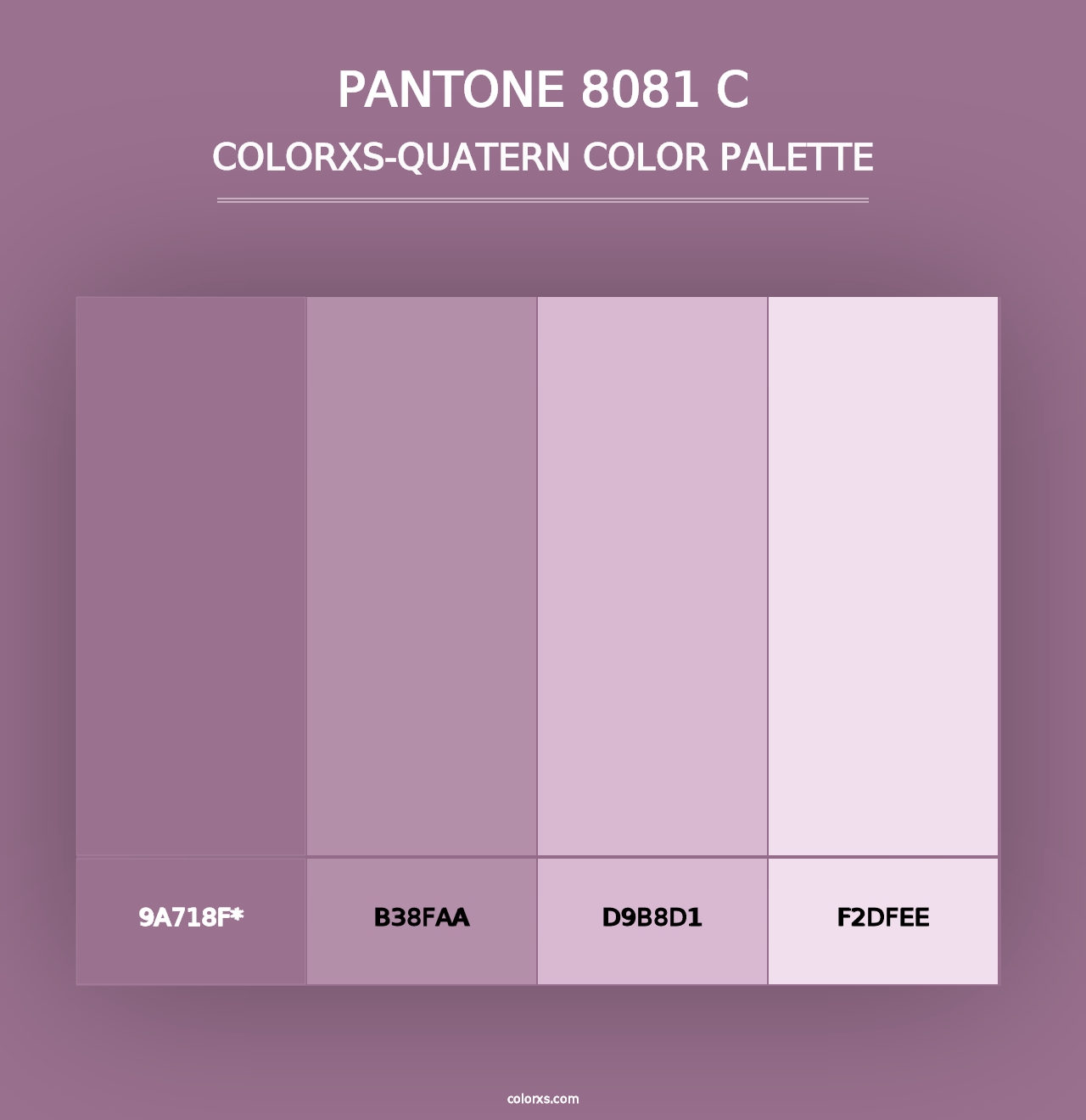 PANTONE 8081 C - Colorxs Quad Palette