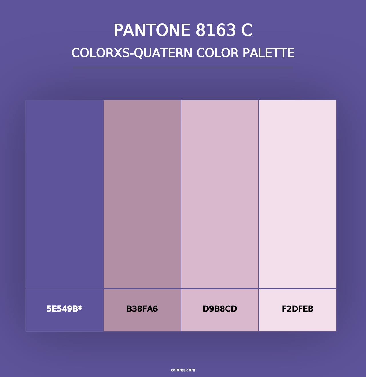 PANTONE 8163 C - Colorxs Quad Palette