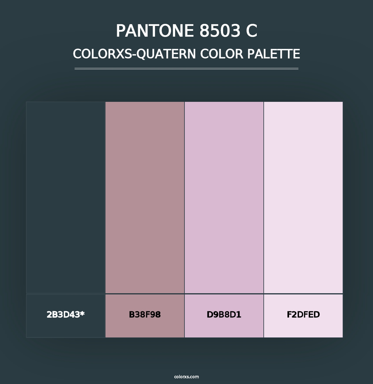 PANTONE 8503 C - Colorxs Quad Palette